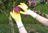 Rukavice vrtne Garden Care - 8 (žute)