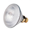 Infracrvena štedna lampa Philips - 100W prozirno