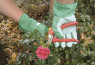 Vrtne rukavice MalGardo - 10