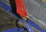 Pojas za vezivanje sa zaustavljačem  8m × 50mm - 5000kg crveni