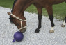 Lopta za konja - 25cm - mint